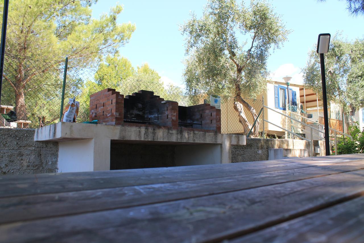 Camping Fontana Delle Rose Mattinata Buitenkant foto